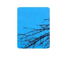 Mirror Blue Stainless Steel Sheet