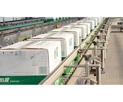 Carton conveyors System