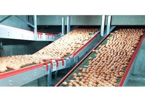 Automated Egg Collection - 2/2