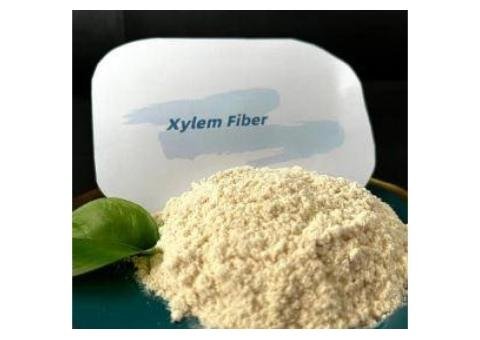 Xylem Fiber