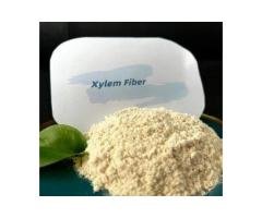 Xylem Fiber