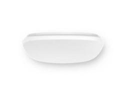 Ordinary Ceiling Light C4c