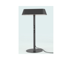 5 Brilliant Features of Pioneer TL Table Lamp