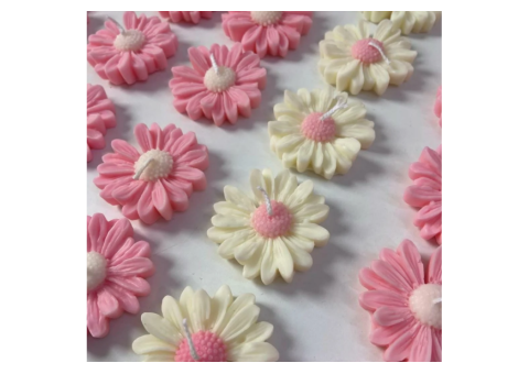 9 Beautiful Daisy Flower Candle Designs You'll Love - 1/3