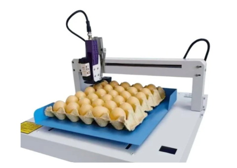 7 Innovative Online Coding Machines for Egg Printing