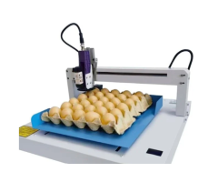 7 Innovative Online Coding Machines for Egg Printing