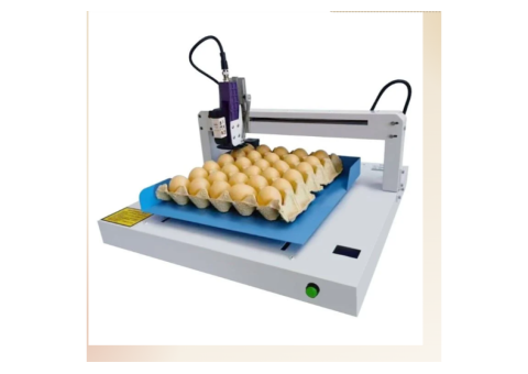 7 Innovative Online Coding Machines for Egg Printing - 2/2