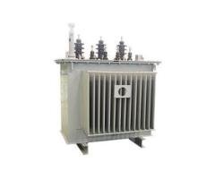 Oil-immersed power transformer