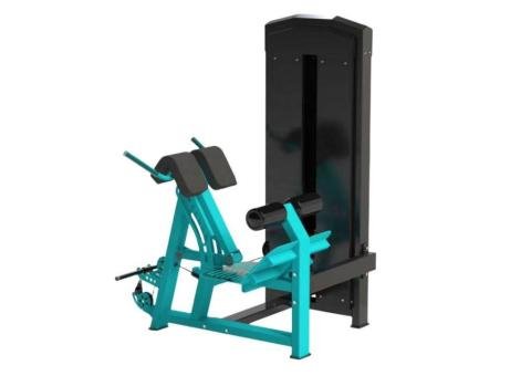 CM-555 Coremax Selectorized Back Extension