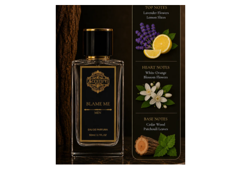 7 Irresistible Reasons to Choose Blame Me Perfume - 2/2