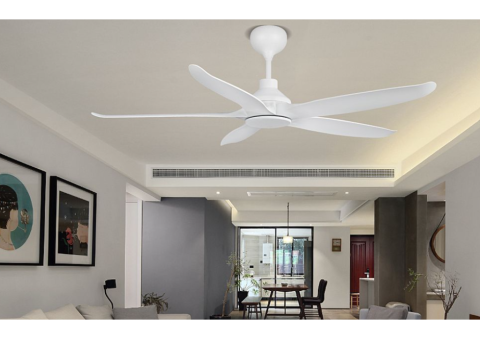 7 Luxury Features of Signature Matte White Ceiling Fan