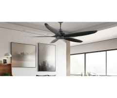7 Elegant Features of Signature Coffee Silver Ceiling Fan