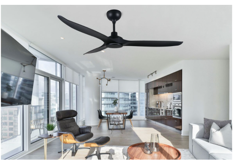 7 Elegant Features of Classic Coffee Silver Ceiling Fan - 2/2