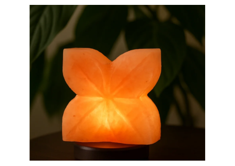 Wings Petal Lamp: 7 Elegant Reasons to Love It - 3/3