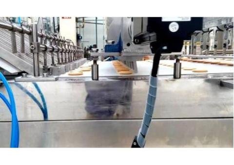 JXJ1000 Marshmallow Depositor for 300 Rows/Min Output