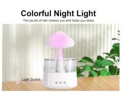 Rain Cloud Humidifier