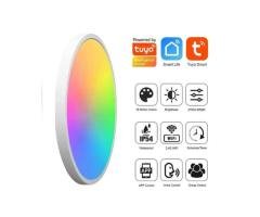 Smart RGB Ceiling Light