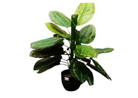 Artificial Peacock Leaf Tree 70cm with Pot