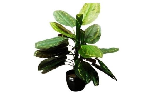 Artificial Peacock Leaf Tree 70cm with Pot - 2/2