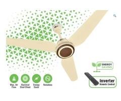 Belvin Tulip AC/DC Ceiling Fan | 56″ Smart Remote & 60% Energy Saving