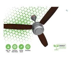 Executive – AC