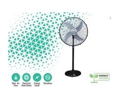 Pedestal Fan