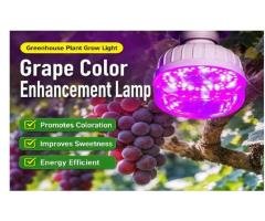 Upgraded-Spectrum Dedicated Grape Coloring Light