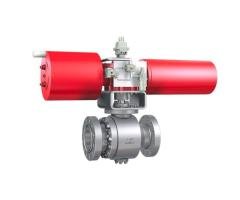 Oxygen ball valve