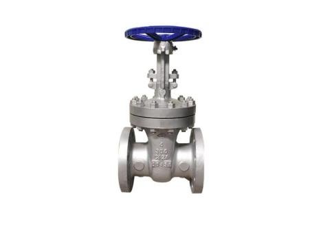 American Standard Stainless Steel Wedge Gate Valve