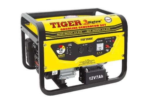 TGF Series Generator