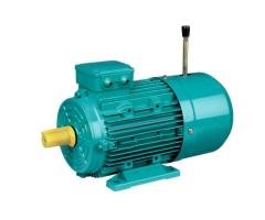 YEJ ELECTRIC MOTOR
