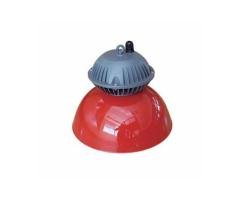 1001 LED Down Light