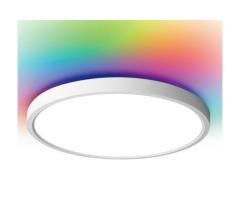 TALOYA Smart LED Ceiling Light