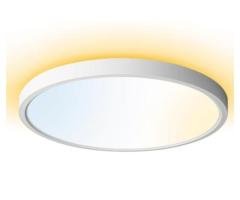 TALOYA Remote Control LED Ceiling Light