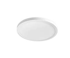 9 Powerful Surface Mounting Downlight RP-2507 Features