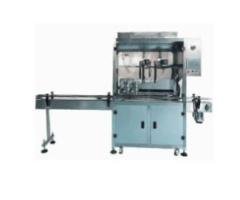 Double-head tracking type filling machine