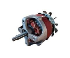 2.8 KW Lawn Mower Motor