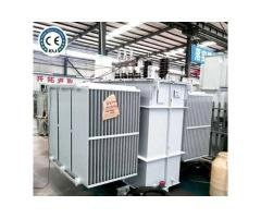 8000KV·A Oil-immersed Transformer