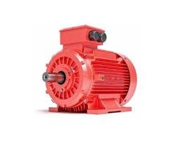 IE1 Efficiency Motor
