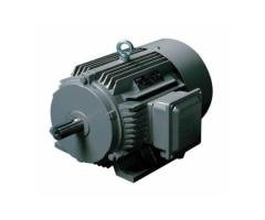 YE3 series high-efficiency induction motor