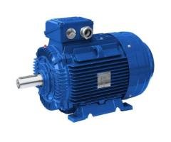 SSWE Series IE4