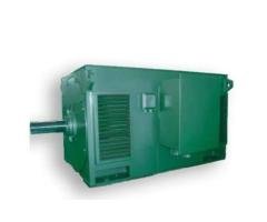 Y Series (IP23) High Voltage Three Phase Asynchronous Induction