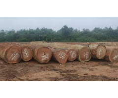 Azobe Round Logs for Heavy-Duty Outdoor Construction