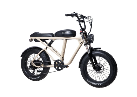 48V 500W Fat Tire E-Bike with Samsung Battery - 1/3