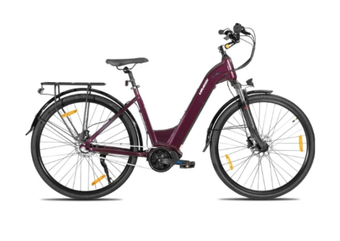 JOYKIE LAMASSU Mid-Drive Electric Mountain Bike - 3/3