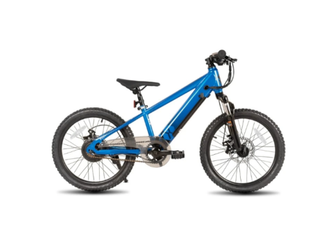 250W Electric Mountain Bike with Removable Battery - 1/3