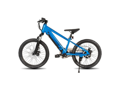 250W Electric Mountain Bike with Removable Battery - 2/3