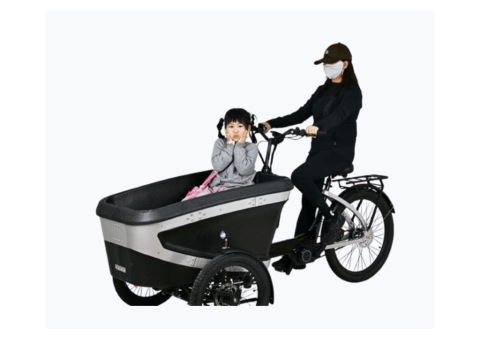 KK6088 Electric Cargo Trike for Family Transportation