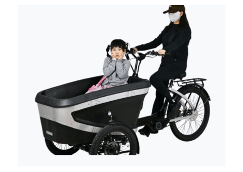 KK6088 Electric Cargo Trike for Family Transportation - 2/2