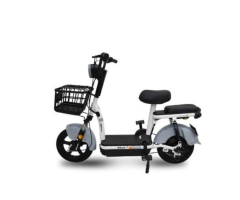 FP-EB2201 48V 350W Electric Moped Scooter